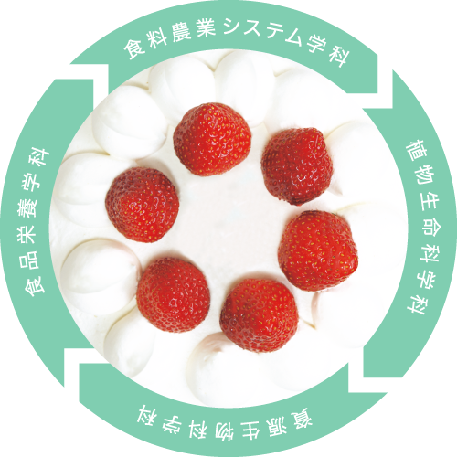 イチゴショートケーキの真実 [植物生命科学科][食品栄養学科][資源生物科学科][食料農業システム学科]