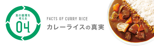 食の循環を考える 04 カレーライスの真実