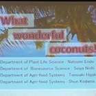 パパイヤ班：「What wonderful coconuts!!」