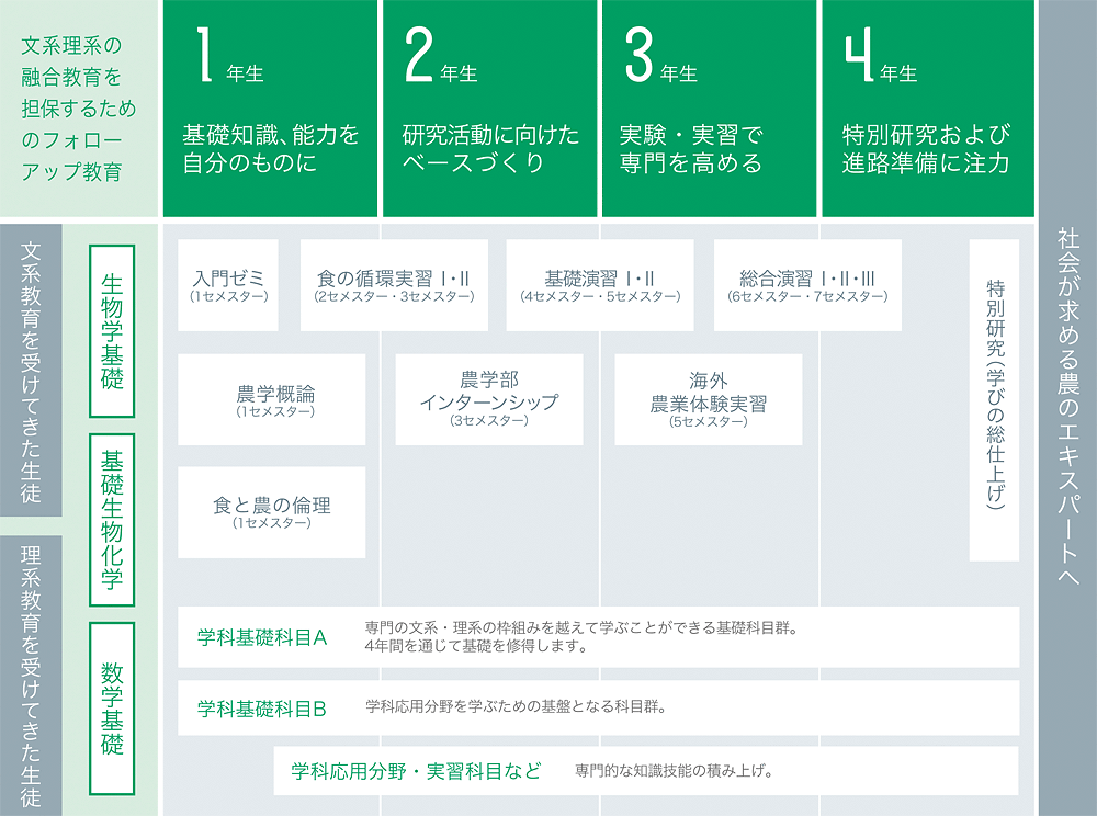 4年間のプロセス