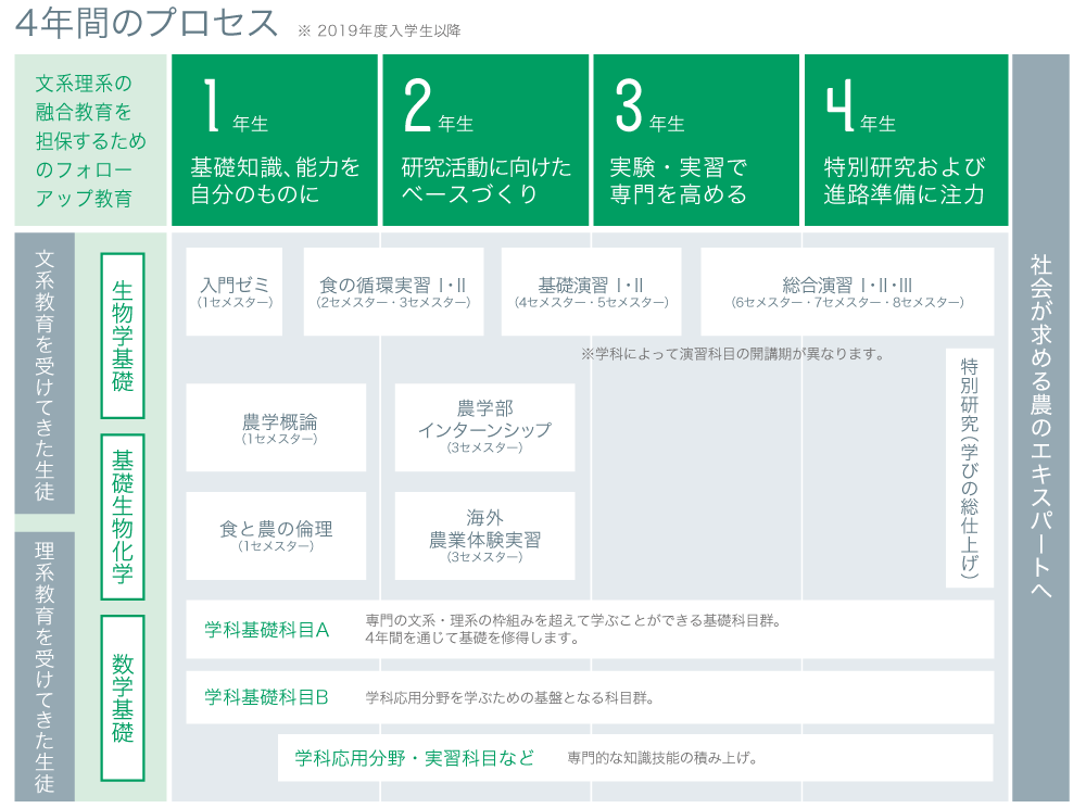 4年間のプロセス