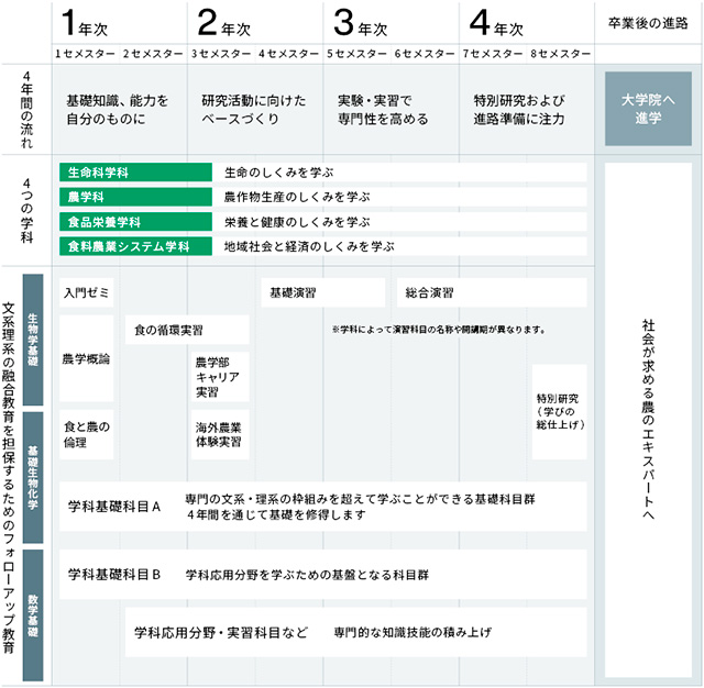 4年間で何を学ぶ?