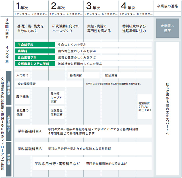 4年間で何を学ぶ?