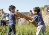 農業の進化＝農作物の生産量が上がること？