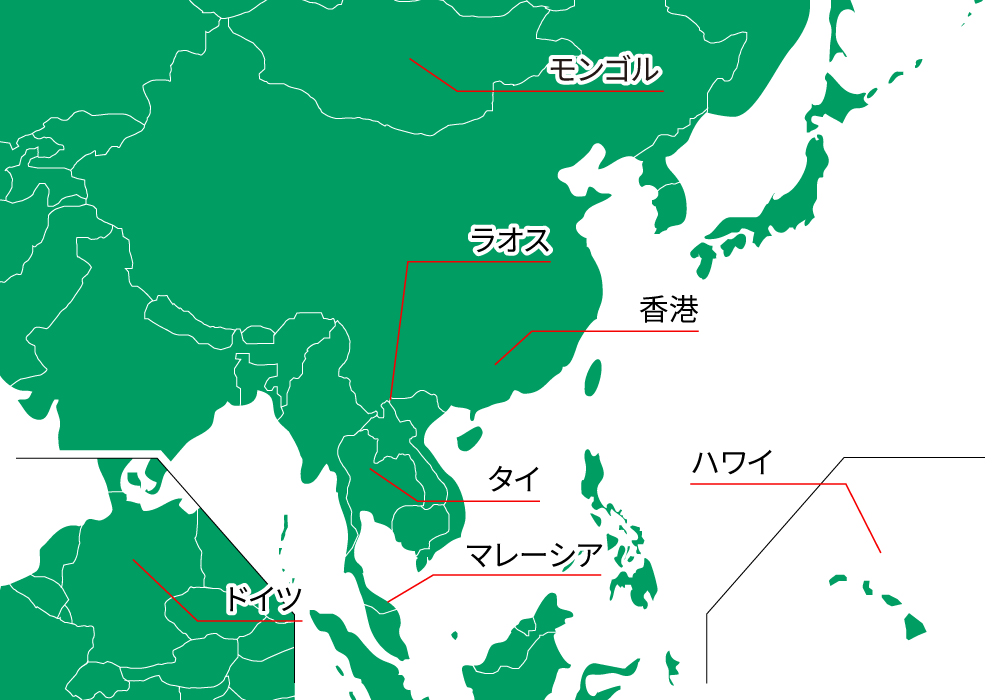 世界地図