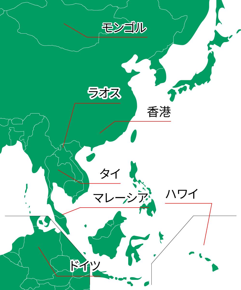 世界地図