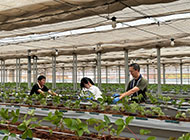JAL Agriport