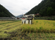 東光坊(広島県)