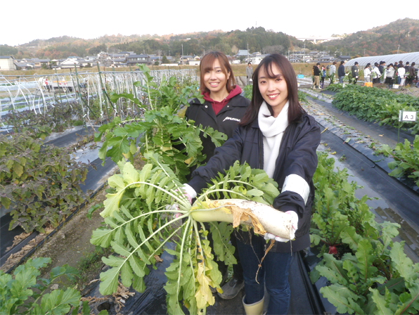 食の循環授業：収穫