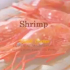 ドリアン班：「Shrimp」