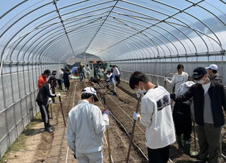 牧農場で、耕耘、施肥、土壌化学性の調査後にラッカセイとエダマメ（ダイズ）を播種