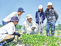 資源生物科学科