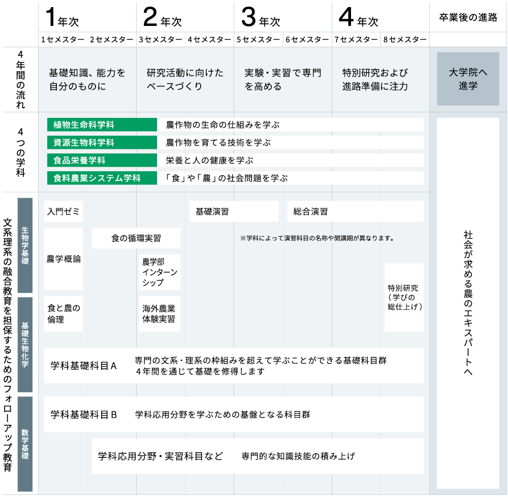 4年間で何を学ぶ?