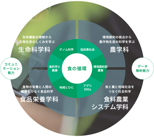 文理融合の実践教育