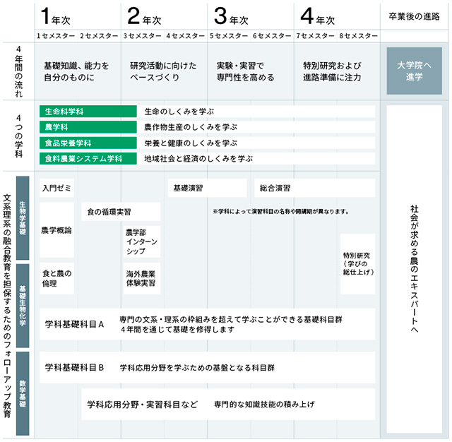 4年間で何を学ぶ?