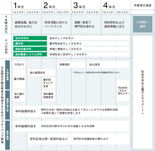 4年間で何を学ぶ?