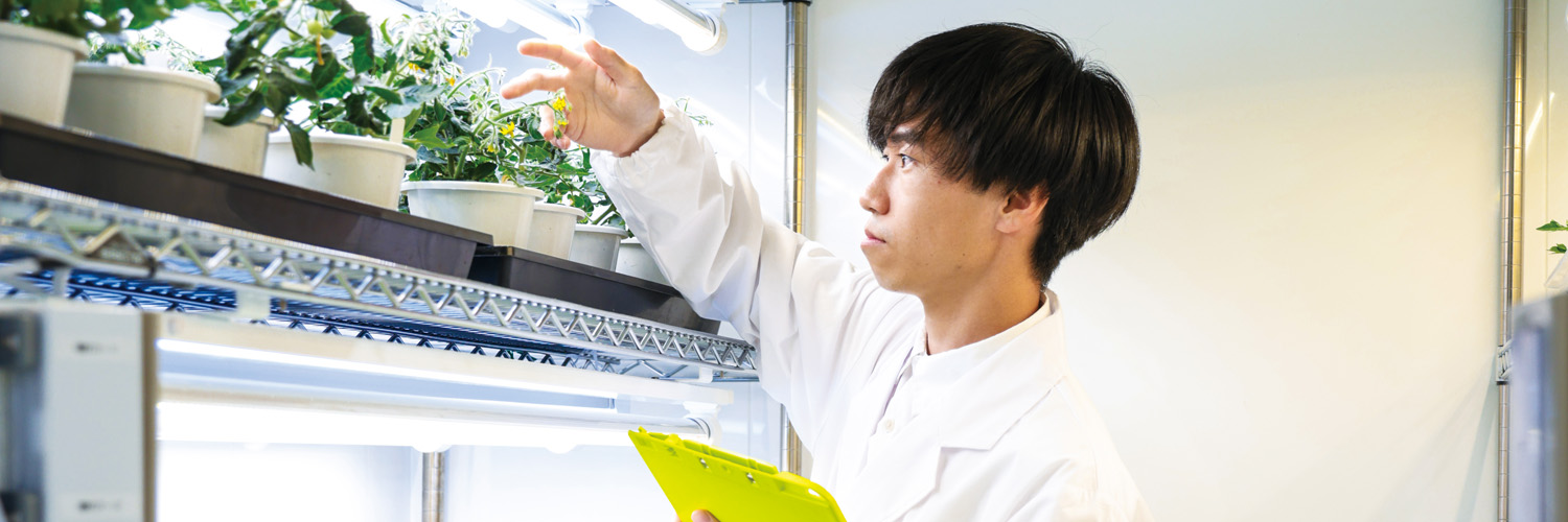 社会が求める力