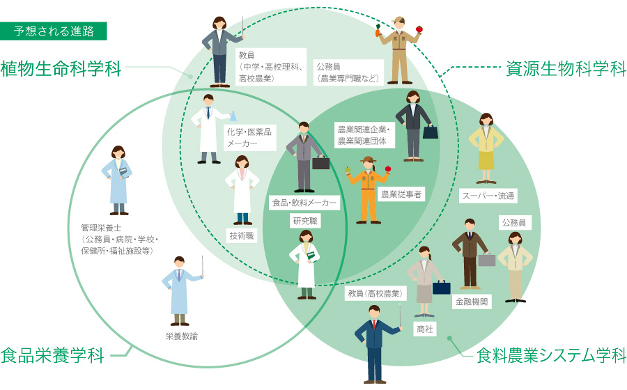 キャリア教育とキャリアサポート 農学部 龍谷大学 You Unlimited