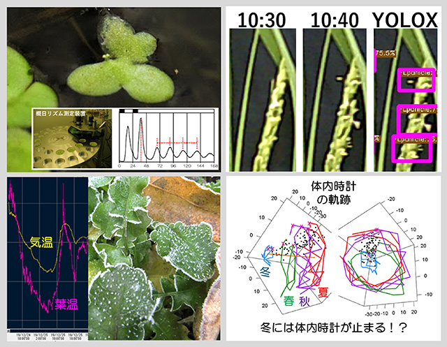 情報生物学研究室