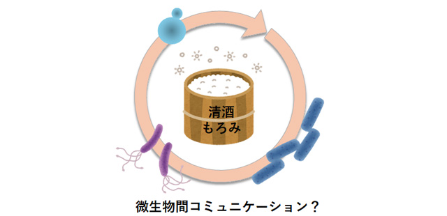 応用微生物学研究室