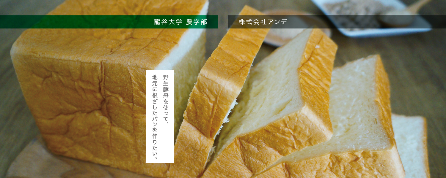 龍谷大学 農学部×株式会社アンデ　野生酵母を使って、地元に根ざしたパンを作りたい。