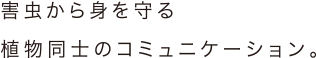 害虫から身を守る植物同士のコミュニケーション。